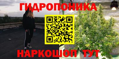 a pvp Абинск