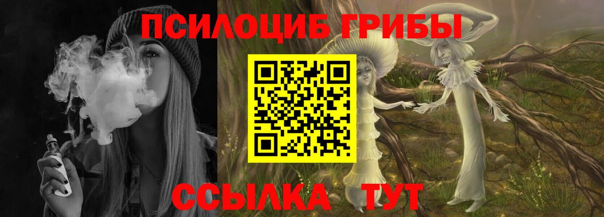 Псилоцибиновые грибы Psilocybe Россия